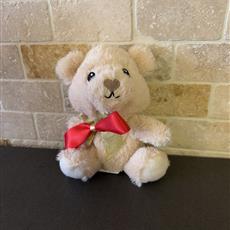 Teddy bear