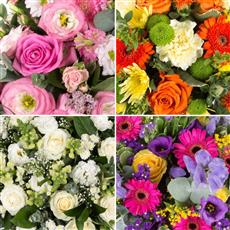 Florist choice spray