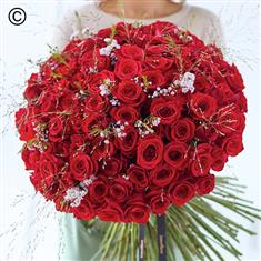 100 Red Rose Hand-tied